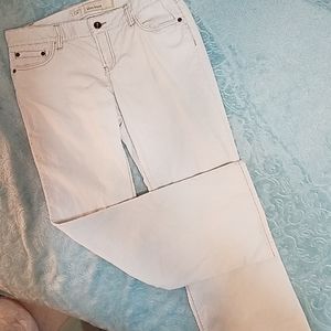 Ann Taylor Loft Corduroy jeans